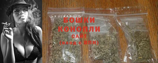 ALPHA-PVP Бикин