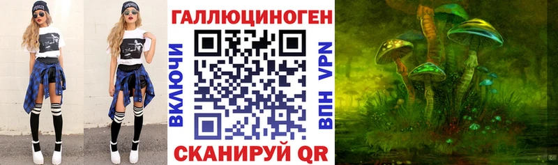 Купить где  Кореновск  Галлюциногенные грибы Psilocybine cubensis 